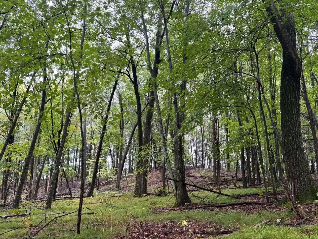 Photo 1 of Land for sale at Doede Rd, Iola, WI 54945 | MLS# 50333154 | Listing updated on 2026-09-23