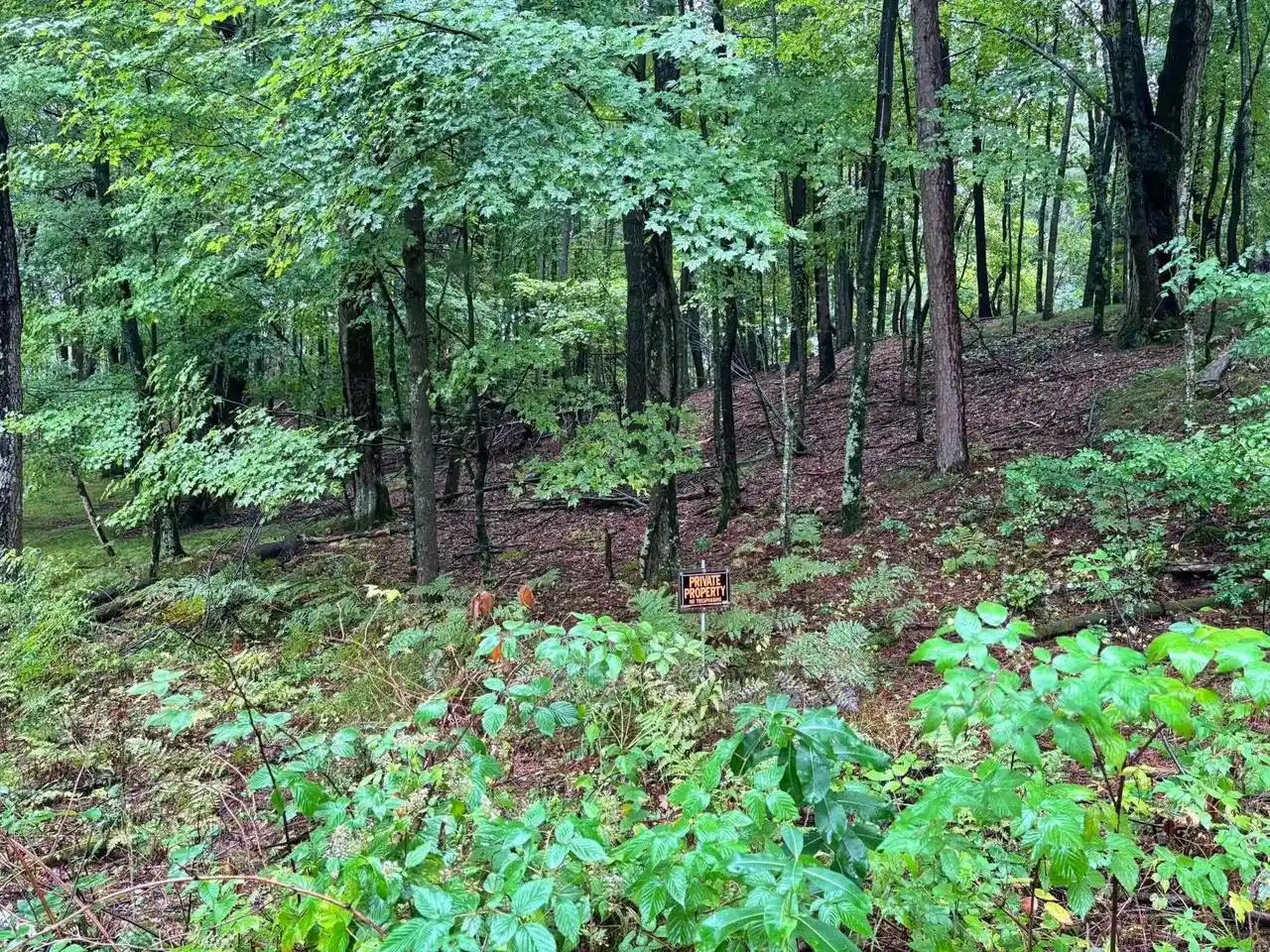 Photo 3 of Land for sale at Doede Rd, Iola, WI 54945 | MLS# 50333154 | Listing updated on 2026-09-23