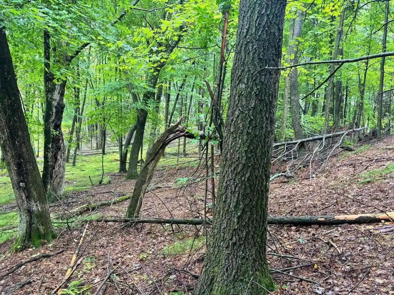 Photo 3 of Land for sale at Doede Rd, Iola, WI 54945 | MLS# 50333154 | Listing updated on 2026-09-23