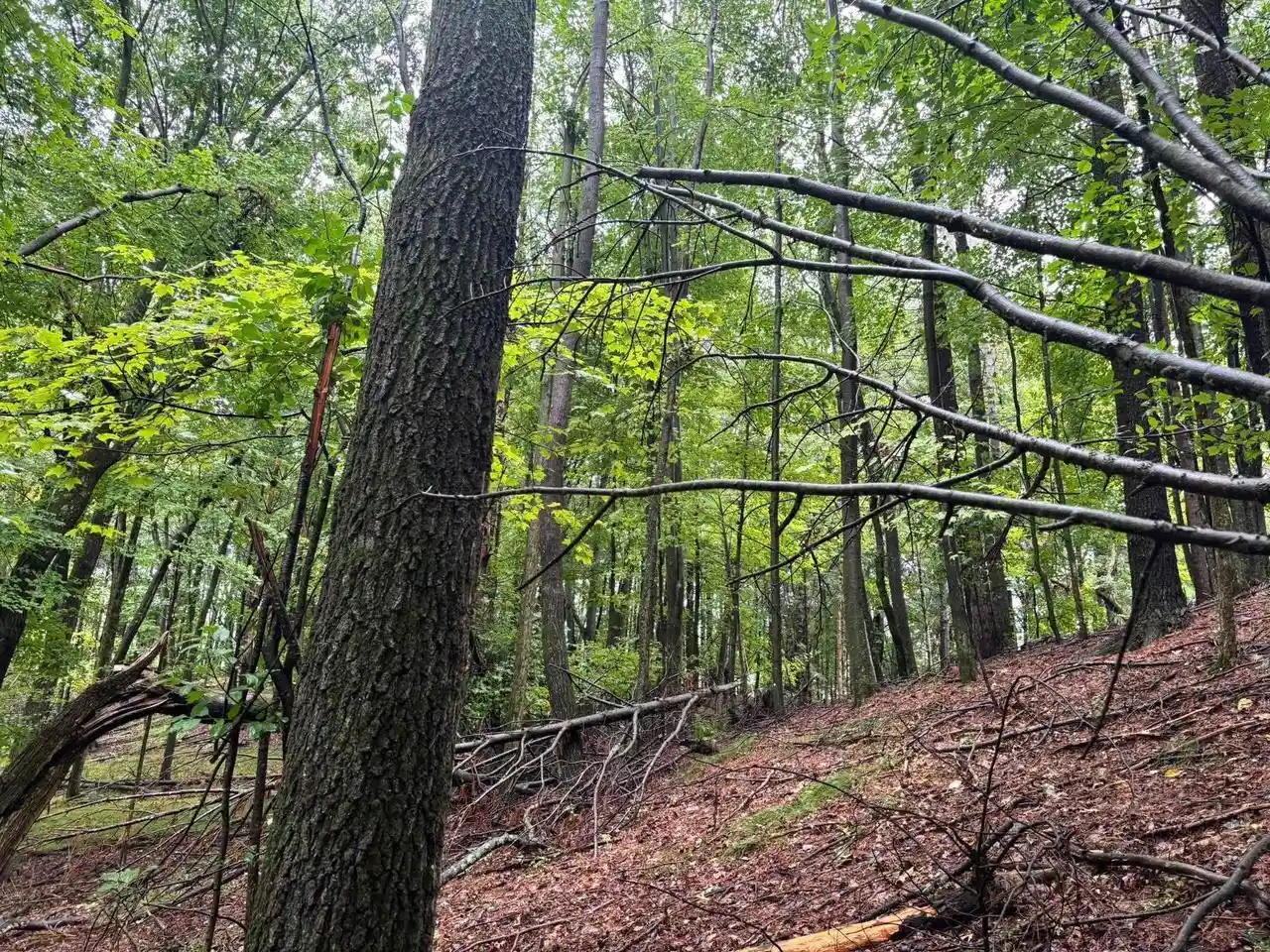 Photo 4 of Land for sale at Doede Rd, Iola, WI 54945 | MLS# 50333154 | Listing updated on 2026-09-23