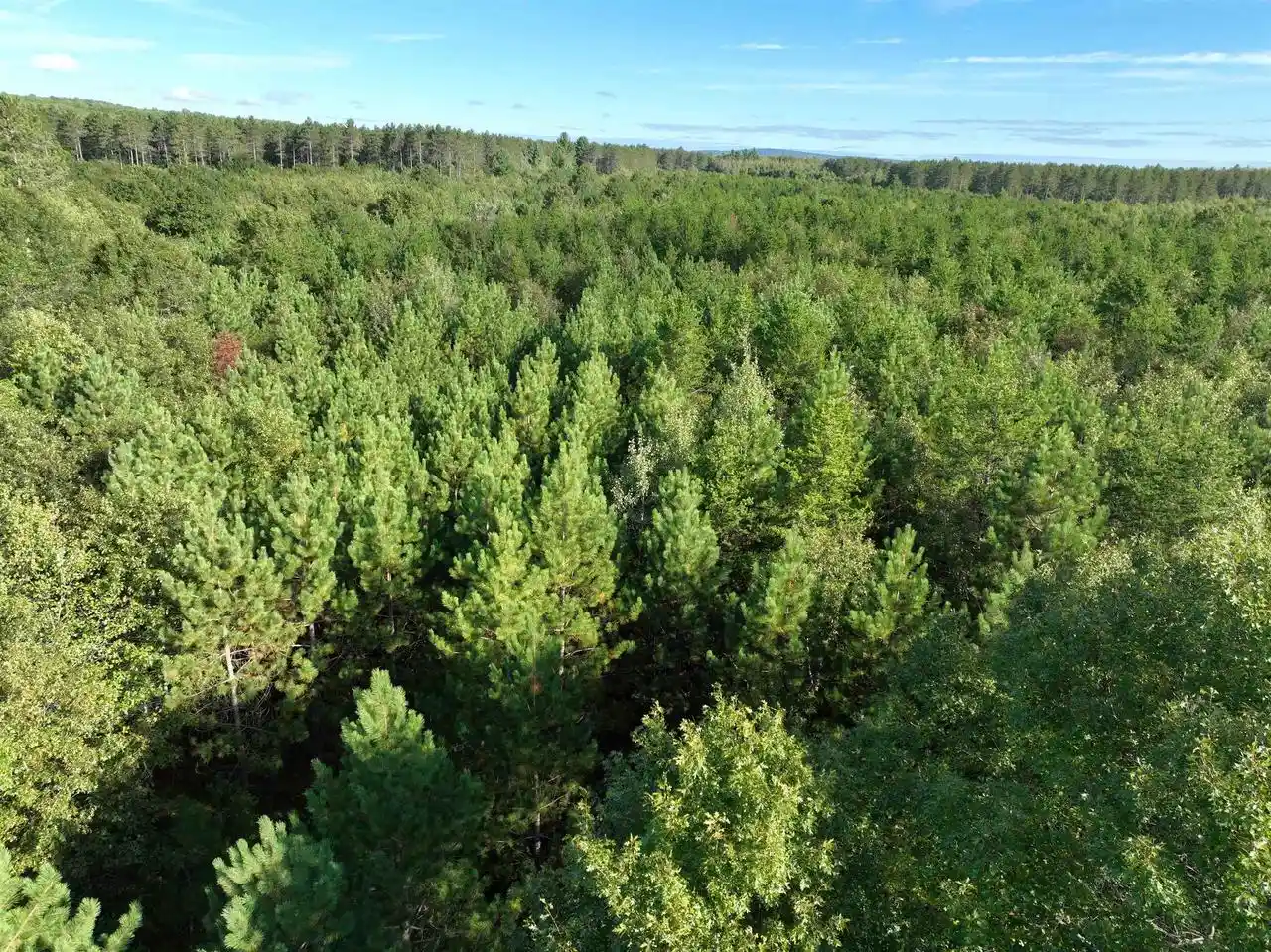 Photo 2 of Land for sale at Lot 3 Scout Rd, Mosinee, WI 54455 | MLS# 22604733 | Listing updated on 2026-09-23