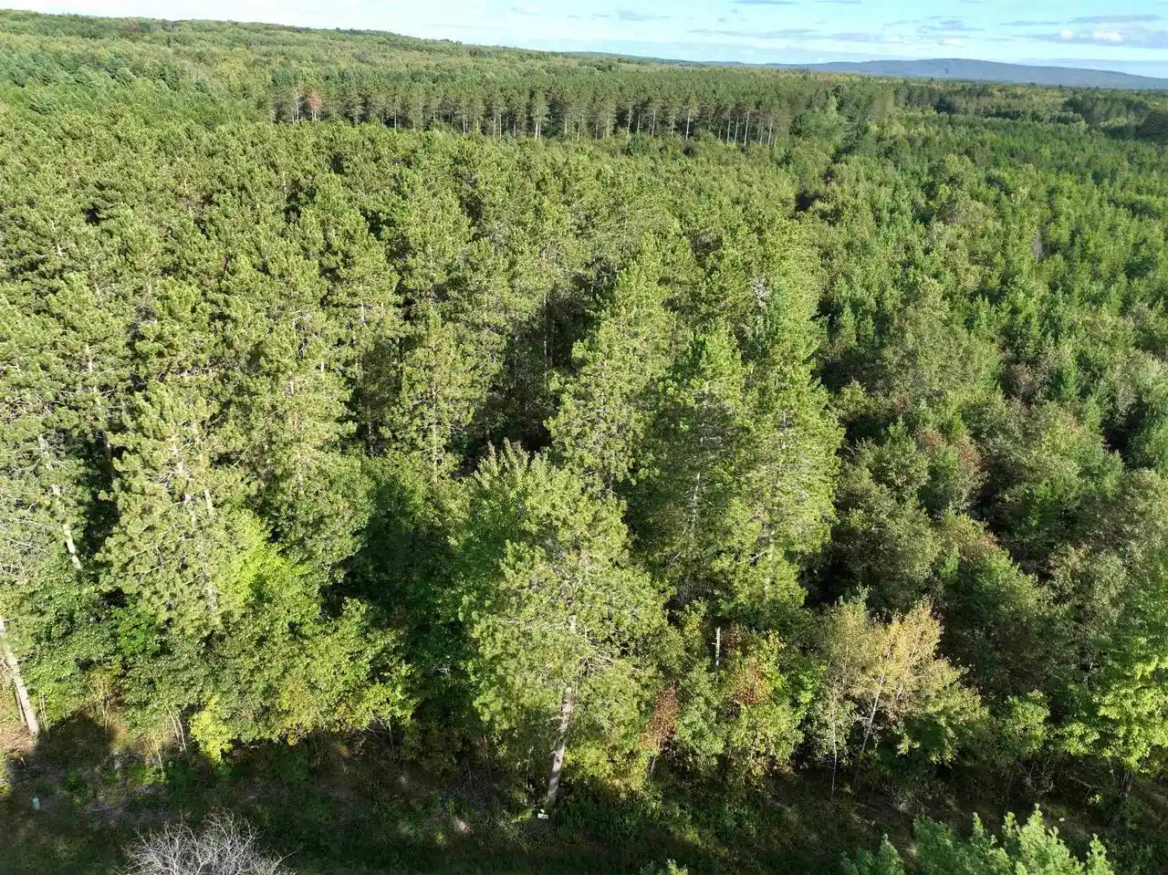 Photo 2 of Land for sale at Lot 4 Scout Rd, Mosinee, WI 54455 | MLS# 22604735 | Listing updated on 2026-09-23