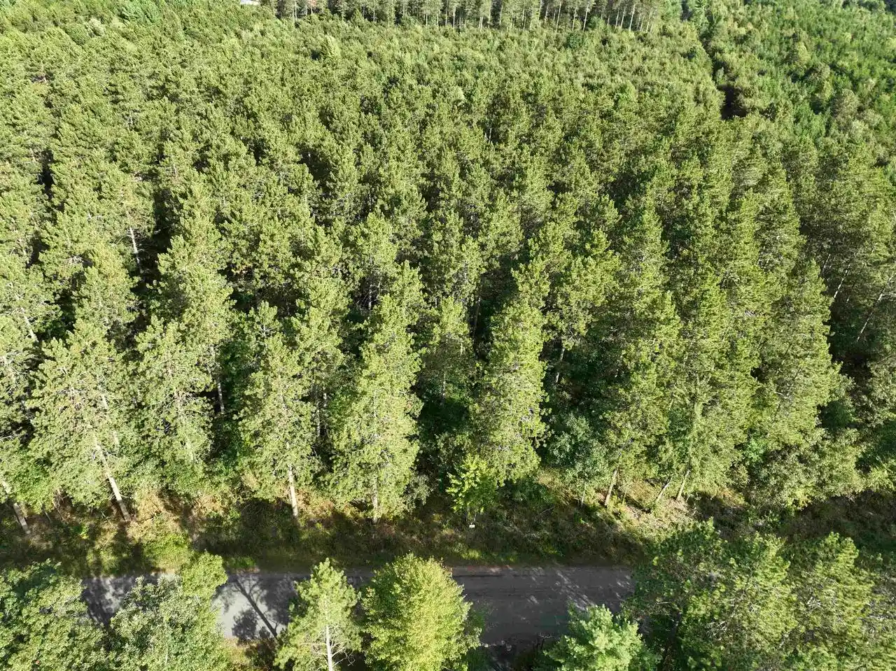 Photo 2 of Land for sale at Lot 5 Scout Rd, Mosinee, WI 54455 | MLS# 22604736 | Listing updated on 2026-09-23