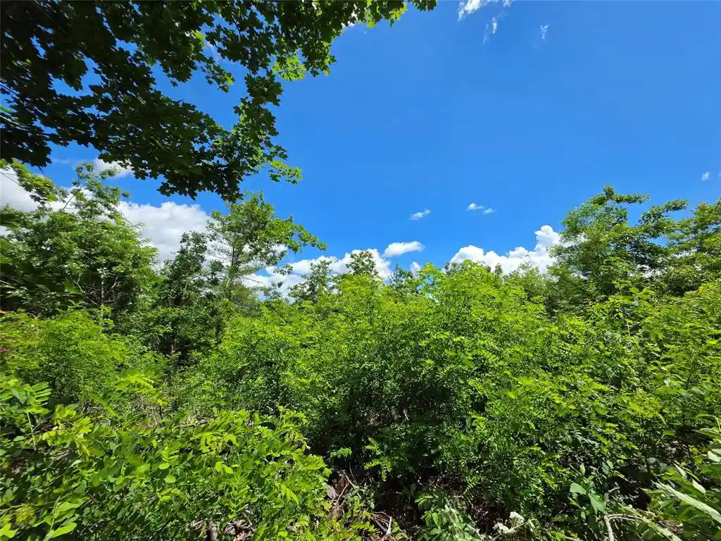 Photo 2 of Land for sale at Lot 8 370th Avenue, Elk Mound, WI 54739 | MLS# 1605400 | Listing updated on 2026-09-23