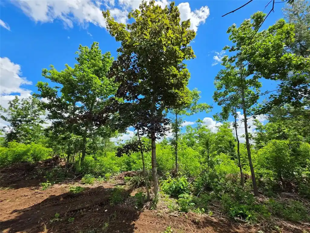 Photo 3 of Land for sale at Lot 8 370th Avenue, Elk Mound, WI 54739 | MLS# 1605400 | Listing updated on 2026-09-23
