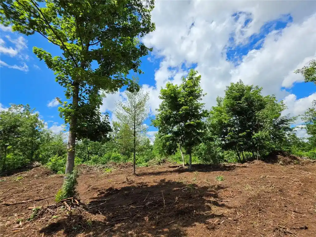 Photo 4 of Land for sale at Lot 8 370th Avenue, Elk Mound, WI 54739 | MLS# 1605400 | Listing updated on 2026-09-23