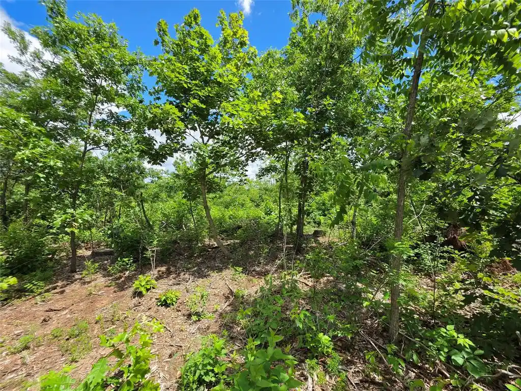 Photo 10 of Land for sale at Lot 8 370th Avenue, Elk Mound, WI 54739 | MLS# 1605400 | Listing updated on 2026-09-23