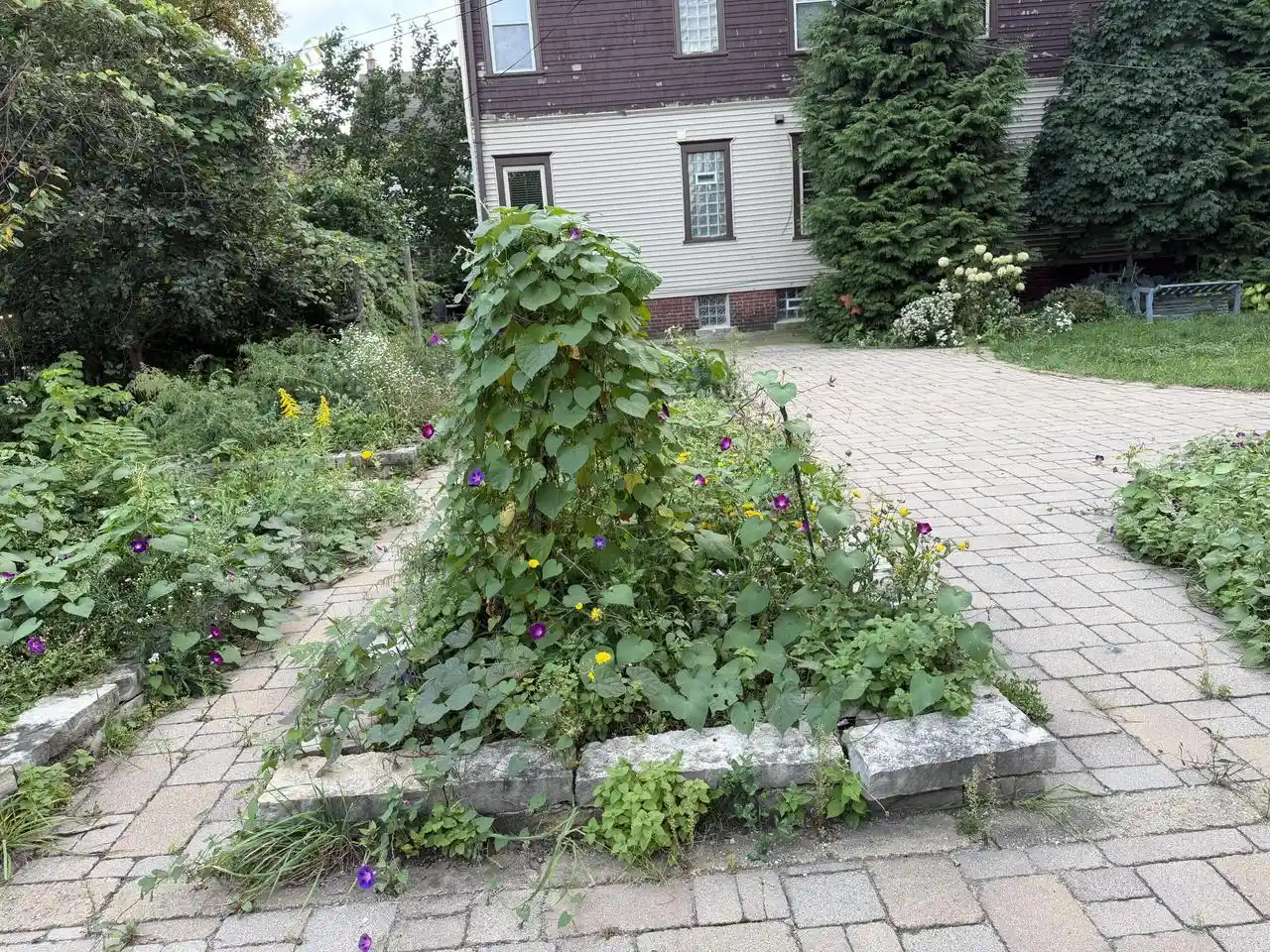 Photo 4 of Sale Pending at 2137 W Pierce St, Milwaukee, WI 53204 | MLS# 1981813 | Listing updated on 2026-09-28