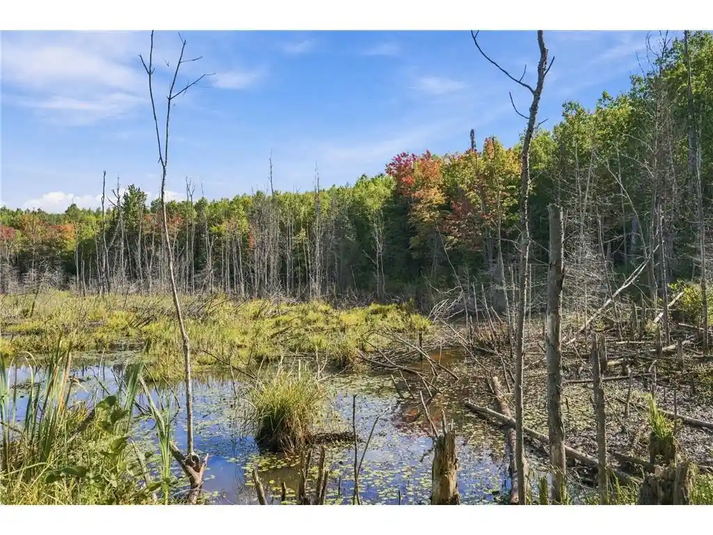 Photo 2 of Land for sale at 8991 Bennet Line Rd, Lake Nebagamon, WI 54849 | MLS# 7149430 | Listing updated on 2026-09-24