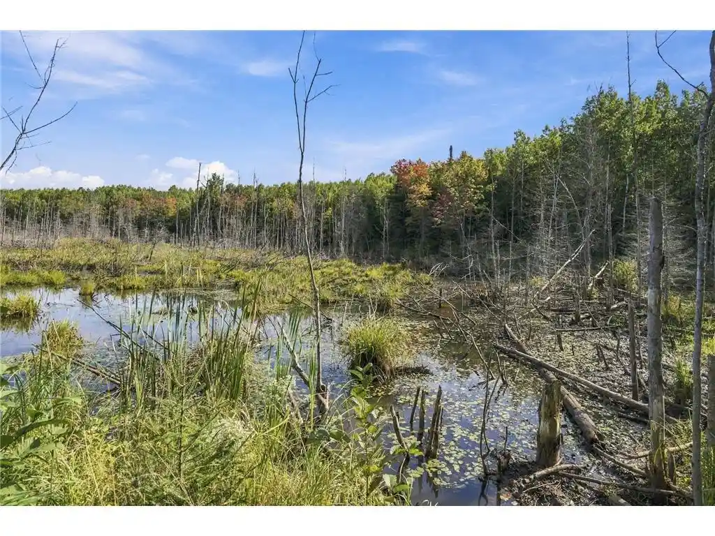 Photo 3 of Land for sale at 8991 Bennet Line Rd, Lake Nebagamon, WI 54849 | MLS# 7149430 | Listing updated on 2026-09-24