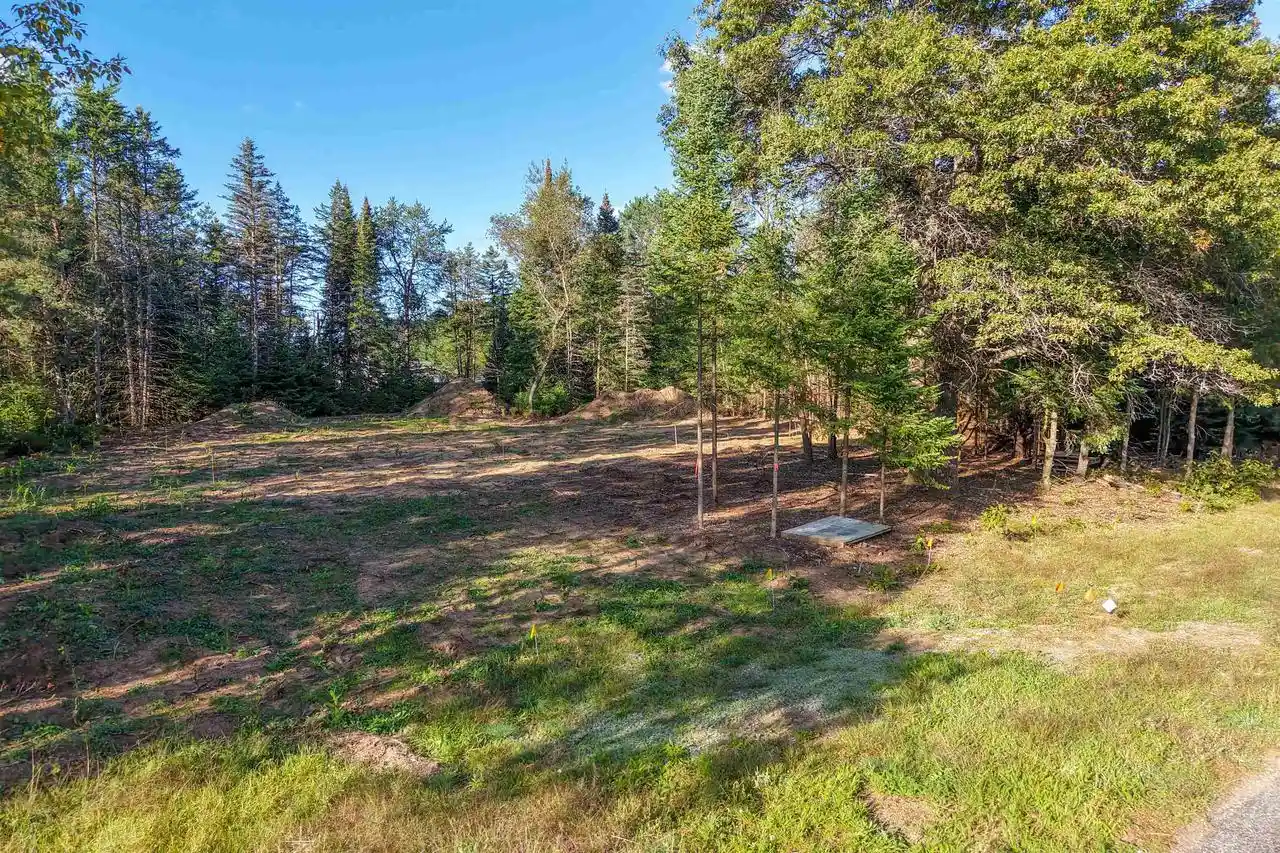 Photo 4 of Land for sale at Parcel 070369 Dewberry Ln, Wisconsin Rapids, WI 54494 | MLS# 22604741 | Listing updated on 2026-09-24