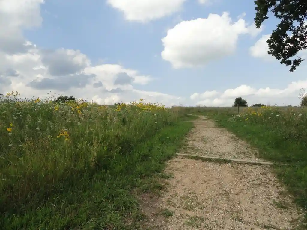 Photo 4 of Land for sale at 1006 Dolan Ave, Waunakee, WI 53597 | MLS# 2033309 | Listing updated on 2026-09-30
