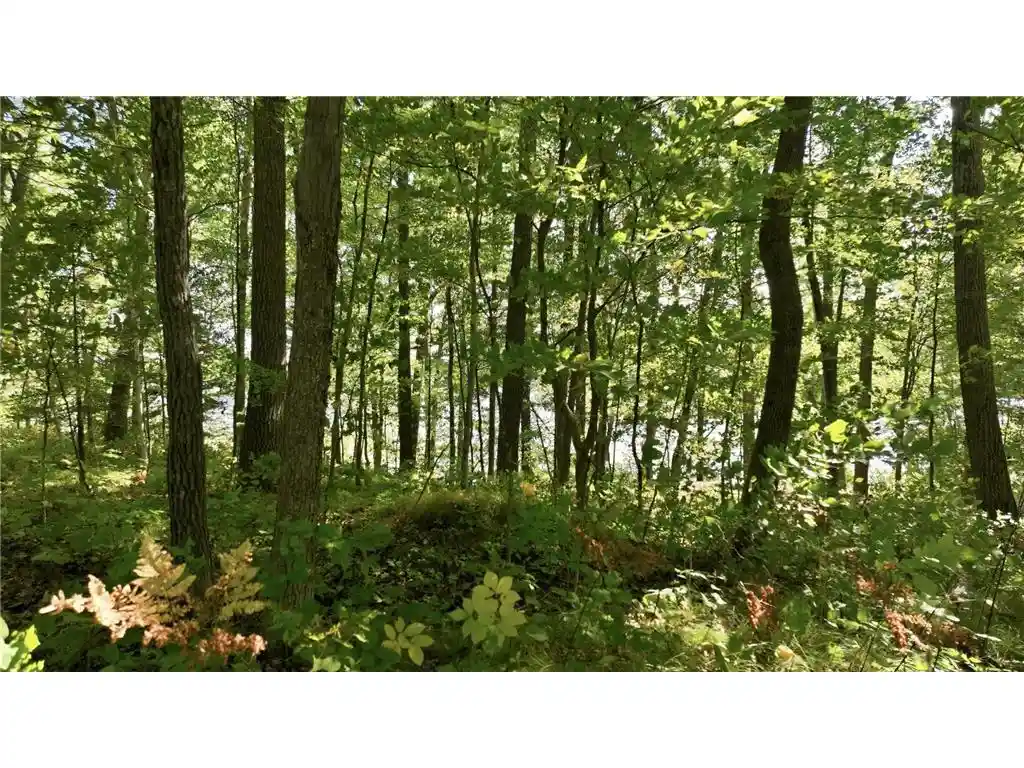 Photo 2 of Sale Pending at Lot 2 Sugar Bay Rd, Chetek, WI 54728 | MLS# 7145808 | Listing updated on 2026-09-28