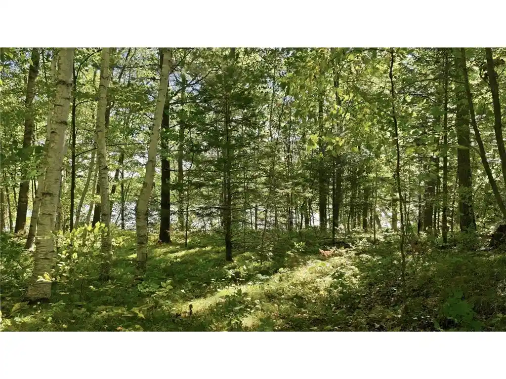 Photo 3 of Sale Pending at Lot 2 Sugar Bay Rd, Chetek, WI 54728 | MLS# 7145808 | Listing updated on 2026-09-28