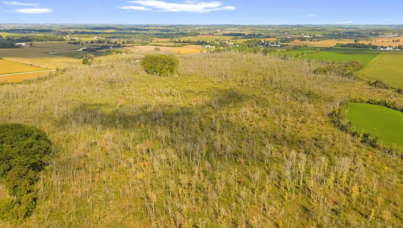 Photo 3 of Land for sale at Lt1 County Hwy W, Allenton, WI 53040 | MLS# 1981876 | Listing updated on 2026-09-25