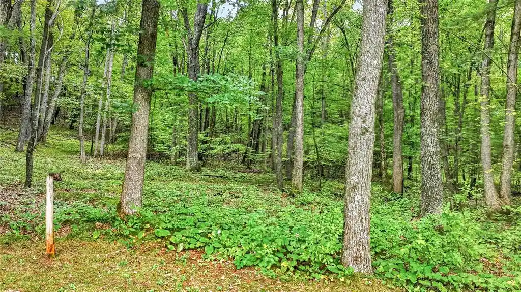 Photo 2 of Single family home for sale at N9278 State Rd 25, Colfax, WI 54730 | MLS# 1605396 | Listing updated on 2026-09-24