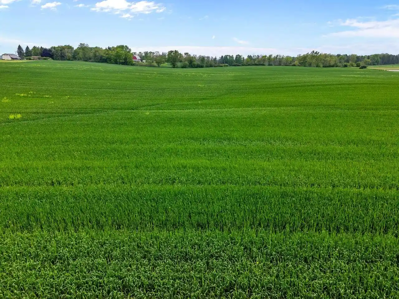 Photo 3 of Land for sale at Lt 3 County Hwy C, Grafton, WI 53024 | MLS# 1981892 | Listing updated on 2026-09-28