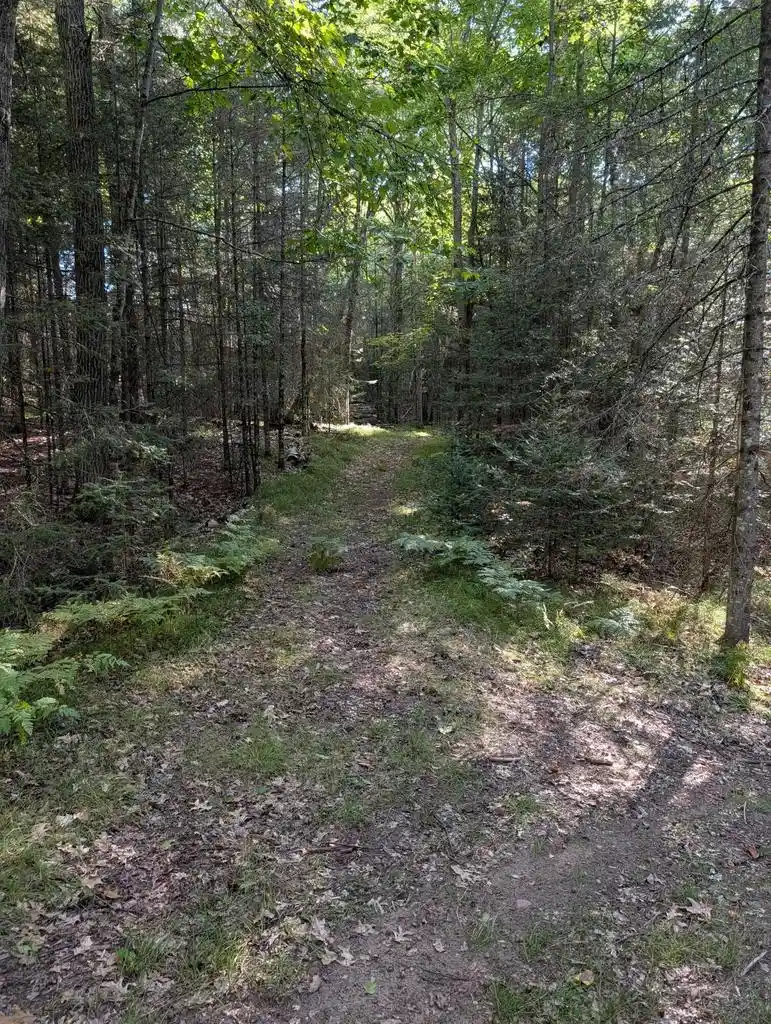 Photo 2 of Land for sale at 1325 Eaglewatch Ct #Lt2, Saint Germain, WI 54558 | MLS# 1981899 | Listing updated on 2026-09-25