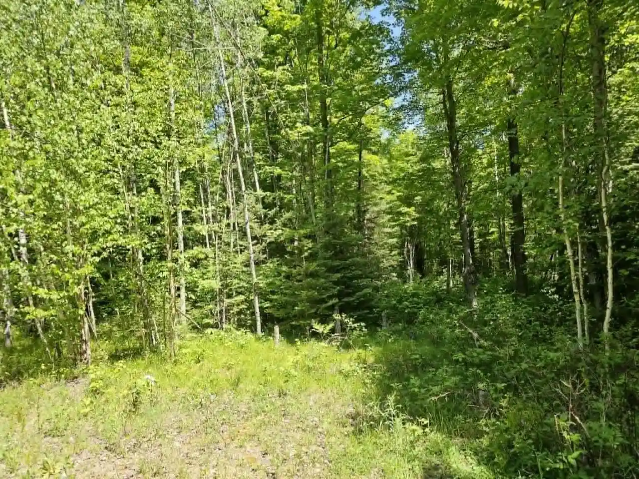 Photo 2 of Land for sale at W Herzog Rd, Iron Mountain, MI 49801 | MLS# 50333172 | Listing updated on 2026-09-24