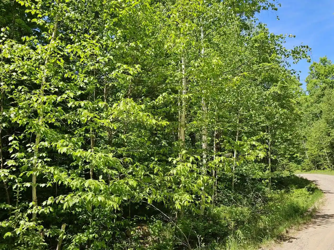 Photo 3 of Land for sale at W Herzog Rd, Iron Mountain, MI 49801 | MLS# 50333172 | Listing updated on 2026-09-24