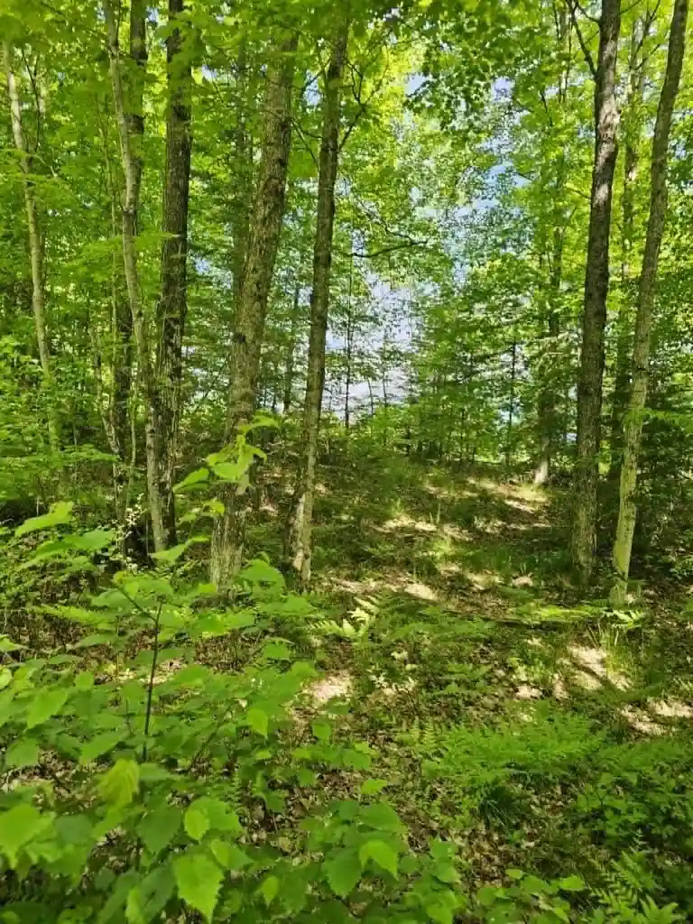 Photo 3 of Land for sale at W Herzog Rd, Iron Mountain, MI 49801 | MLS# 50333172 | Listing updated on 2026-09-24