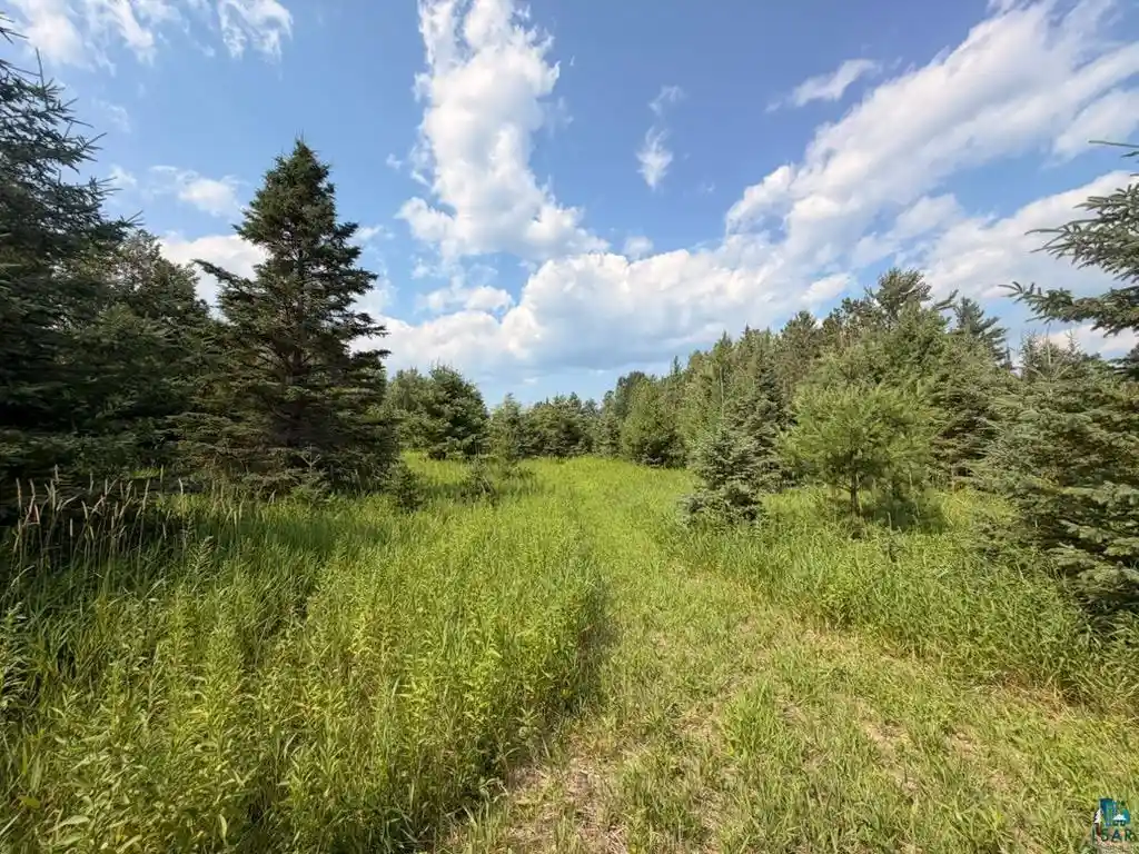 Land for sale at 209xx US Hwy 2, Mason, WI 54856 | MLS# 6128136