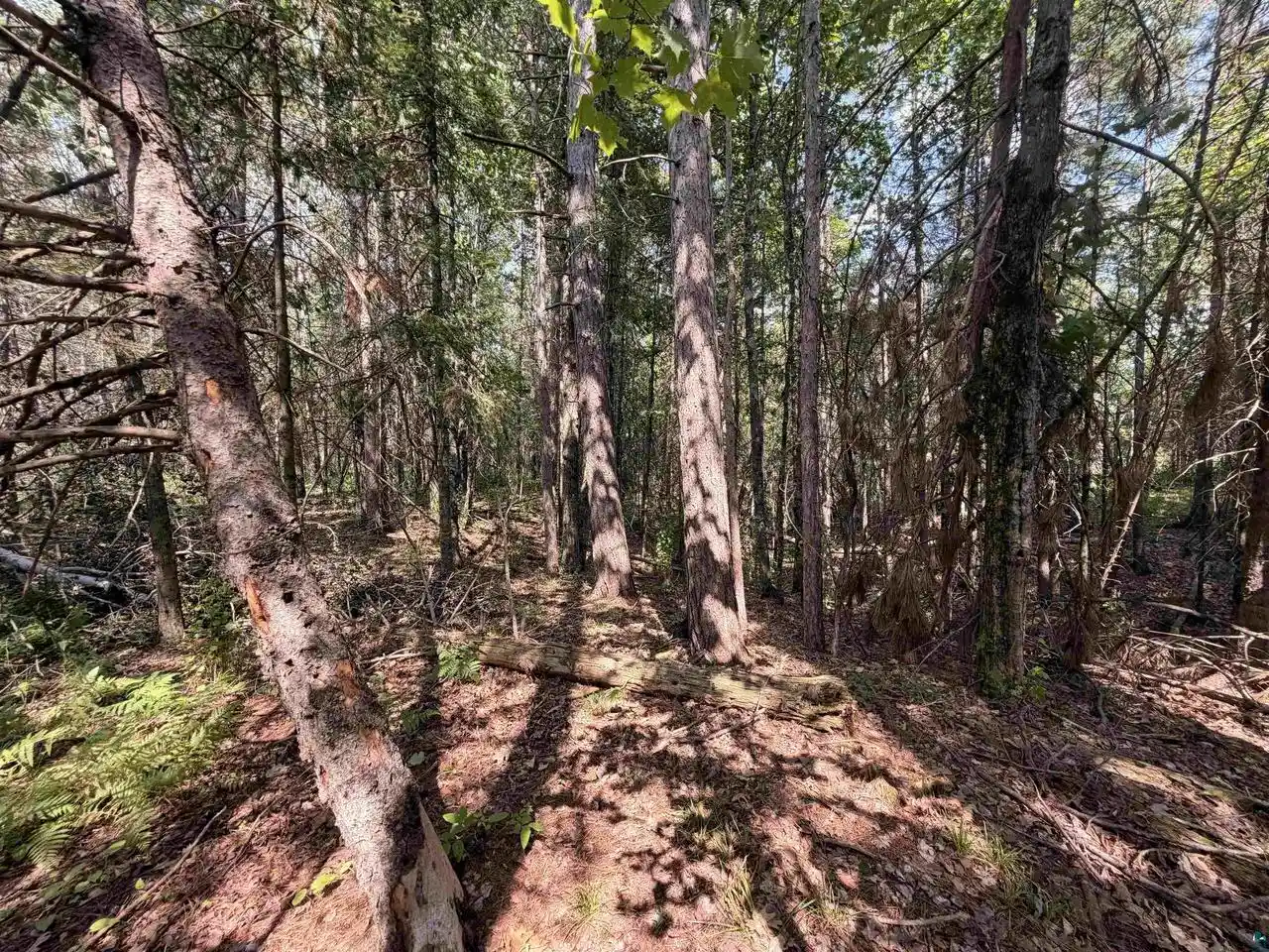 Photo 3 of Land for sale at 209xx US Hwy 2, Mason, WI 54856 | MLS# 6128136 | Listing updated on 2026-09-28