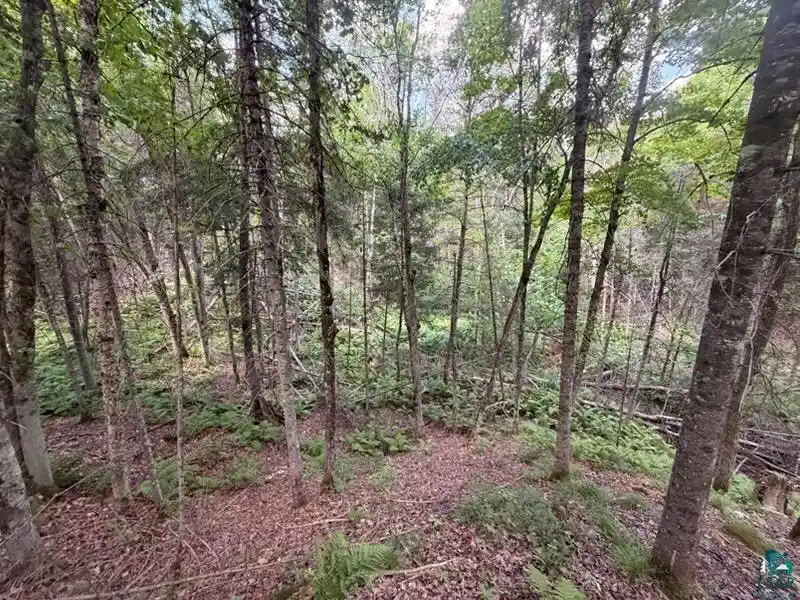 Photo 4 of Land for sale at 209xx US Hwy 2, Mason, WI 54856 | MLS# 6128136 | Listing updated on 2026-09-28