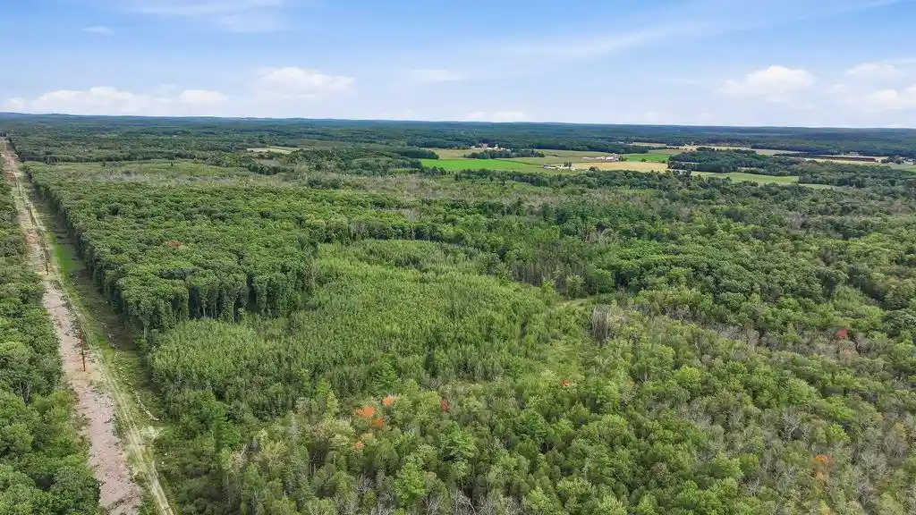 Photo 1 of Land for sale at 00 Behnke Rd, Iola, WI 54945 | MLS# 22604753 | Listing updated on 2026-09-24