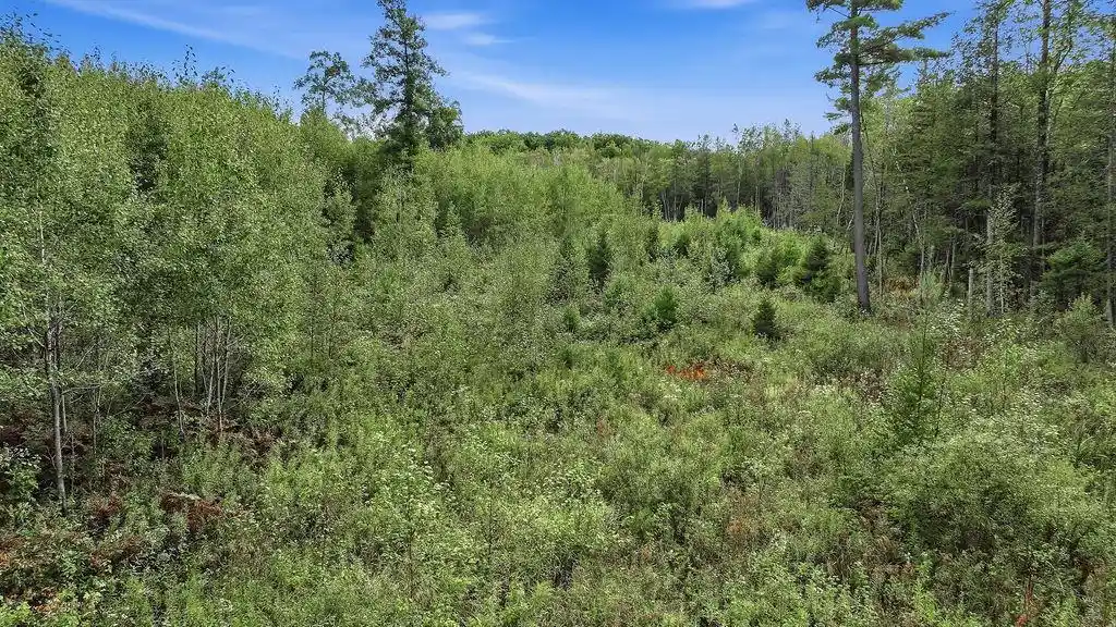 Photo 2 of Land for sale at 00 Behnke Rd, Iola, WI 54945 | MLS# 22604753 | Listing updated on 2026-09-24
