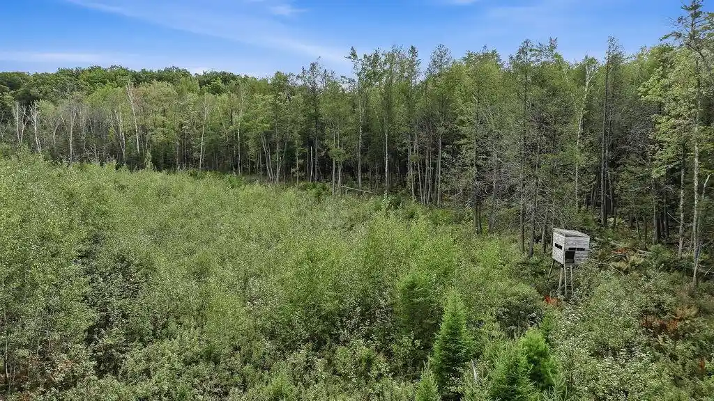 Photo 3 of Land for sale at 00 Behnke Rd, Iola, WI 54945 | MLS# 22604753 | Listing updated on 2026-09-24
