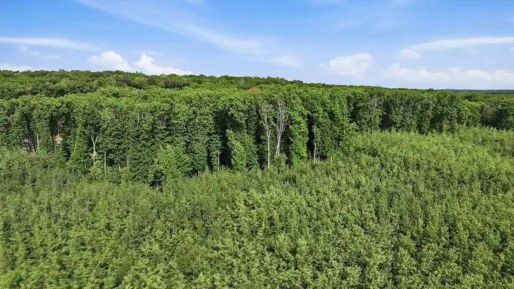 Photo 3 of Land for sale at 00 Behnke Rd, Iola, WI 54945 | MLS# 22604753 | Listing updated on 2026-09-24