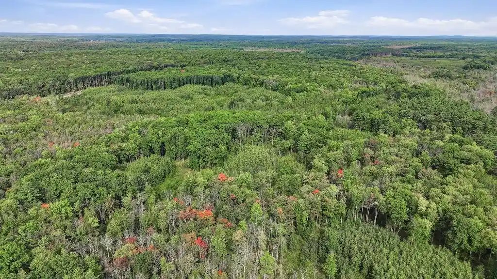 Photo 4 of Land for sale at 00 Behnke Rd, Iola, WI 54945 | MLS# 22604753 | Listing updated on 2026-09-24