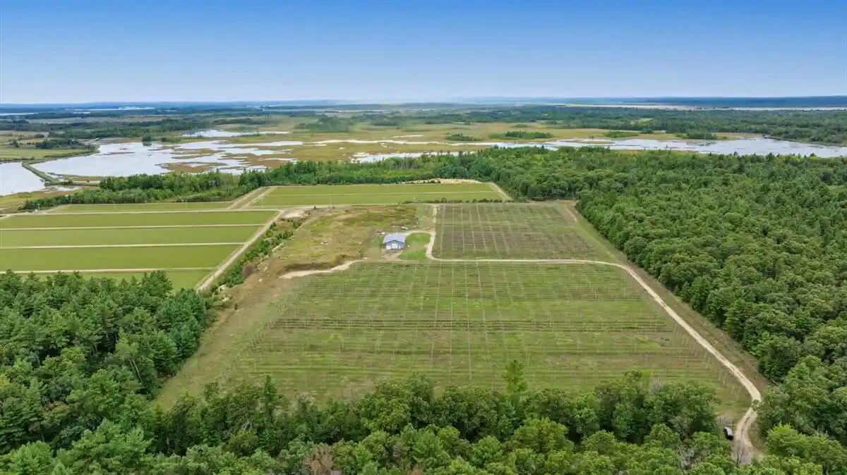 Photo 1 of Land for sale at 4085 N Cranberry Rd, Warrens, WI 54666 | MLS# 1982000 | Listing updated on 2026-09-25