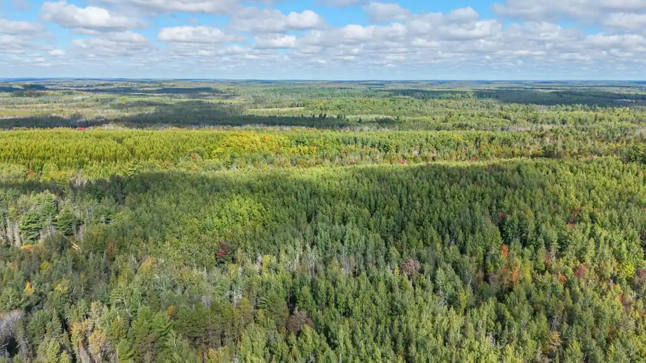 Photo 2 of Land for sale at 5321 W County Rd 569, Abbotsford, MI 49873 | MLS# 1982064 | Listing updated on 2026-09-28
