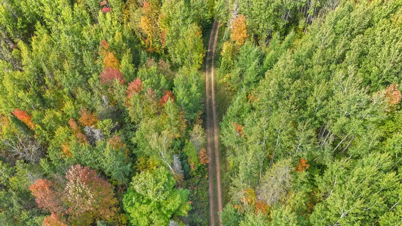 Photo 3 of Land for sale at 5321 W County Rd 569, Abbotsford, MI 49873 | MLS# 1982064 | Listing updated on 2026-09-28