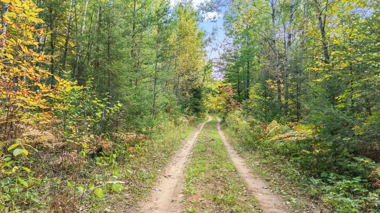 Photo 3 of Land for sale at 5321 W County Rd 569, Abbotsford, MI 49873 | MLS# 1982064 | Listing updated on 2026-09-28