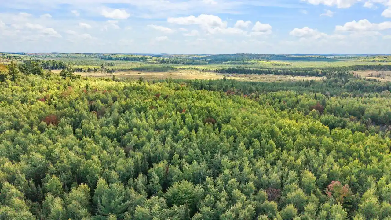 Photo 4 of Land for sale at 5321 W County Rd 569, Abbotsford, MI 49873 | MLS# 1982064 | Listing updated on 2026-09-28