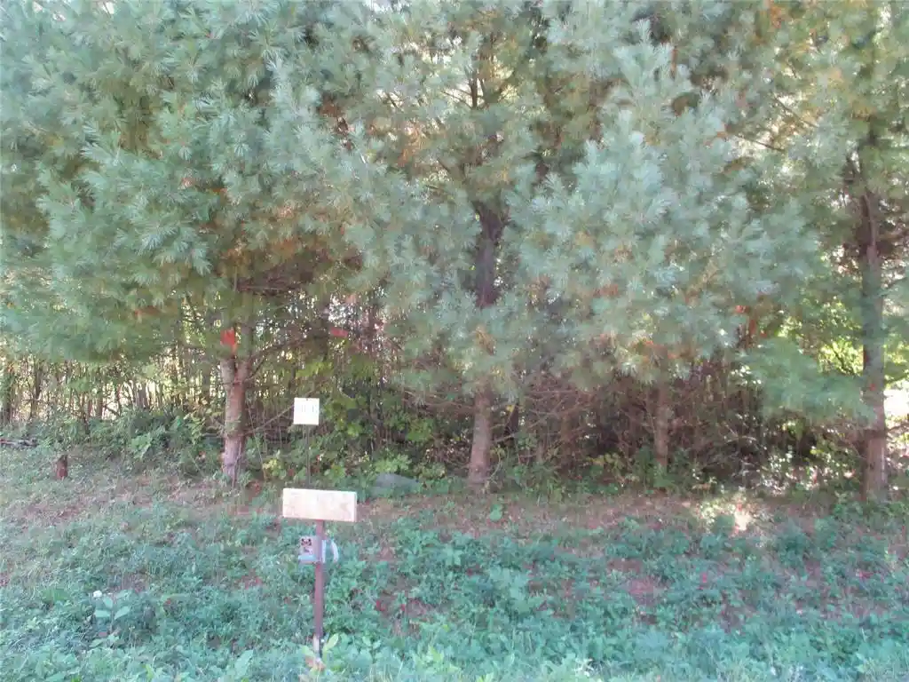 Photo 3 of Land for sale at Lot 4 28 7/8 St/somerset S Cir, Birchwood, WI 54817 | MLS# 1605420 | Listing updated on 2026-09-25