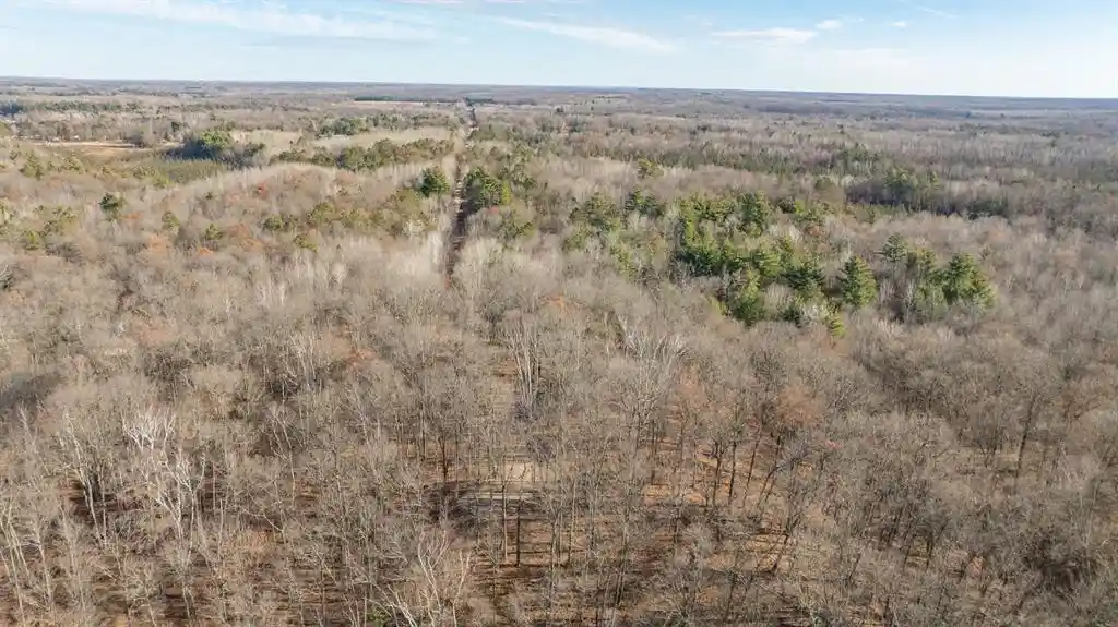Photo 4 of Land for sale at Lot 1 On 290th Ave, Holcombe, WI 54745 | MLS# 1605442 | Listing updated on 2026-09-25