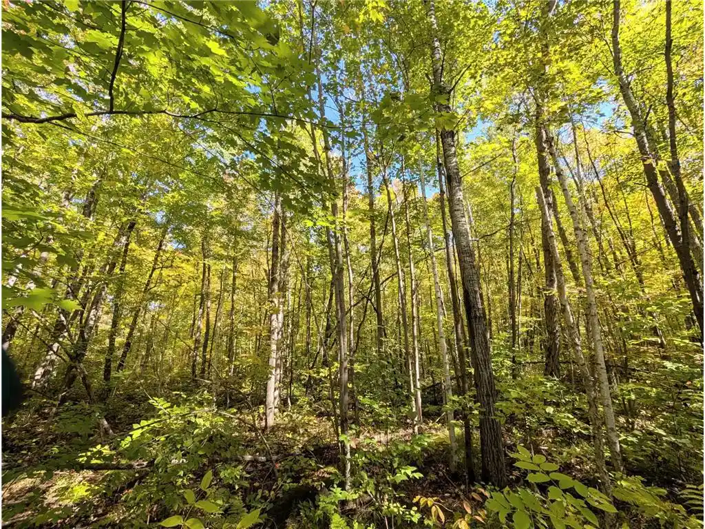 Photo 1 of Land for sale at Tbd Hwy B, Hayward, WI 54843 | MLS# 7147440 | Listing updated on 2026-10-04