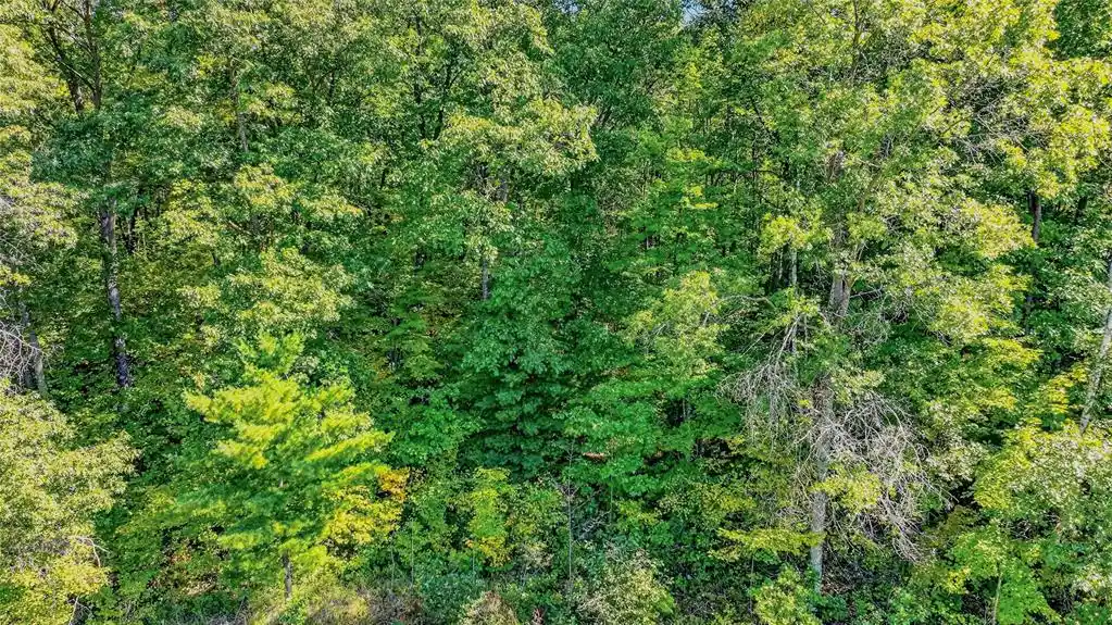 Photo 3 of Land for sale at Lot 2 On 290th Ave, Holcombe, WI 54745 | MLS# 1605463 | Listing updated on 2026-09-25