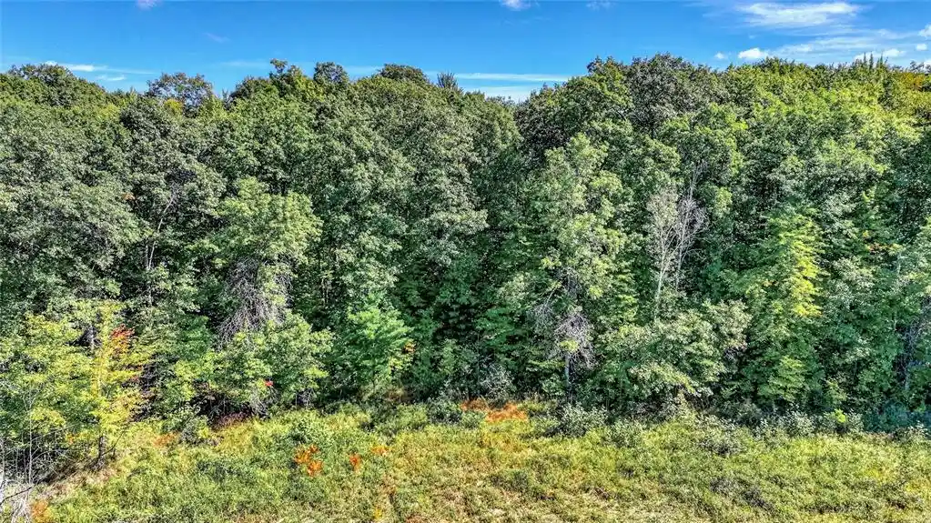 Photo 2 of Land for sale at Lot 3 On 290th Ave, Holcombe, WI 54745 | MLS# 1605465 | Listing updated on 2026-09-25