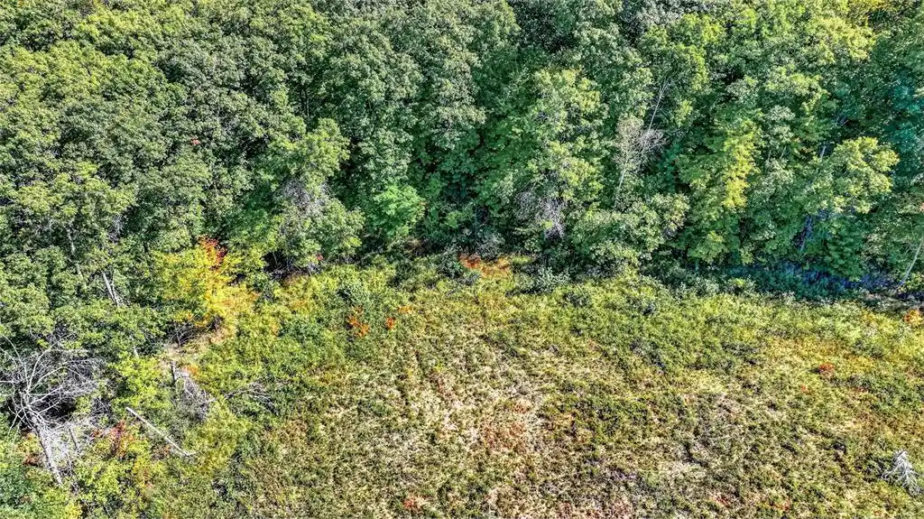 Photo 11 of Land for sale at Lot 3 On 290th Ave, Holcombe, WI 54745 | MLS# 1605465 | Listing updated on 2026-09-25