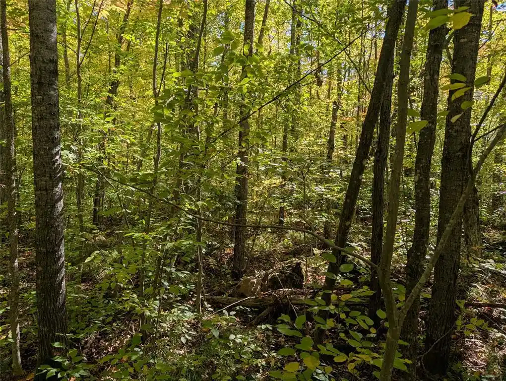 Photo 2 of Land for sale at Tbd County Rd B, Hunter, WI 54843 | MLS# 1605445 | Listing updated on 2026-09-25