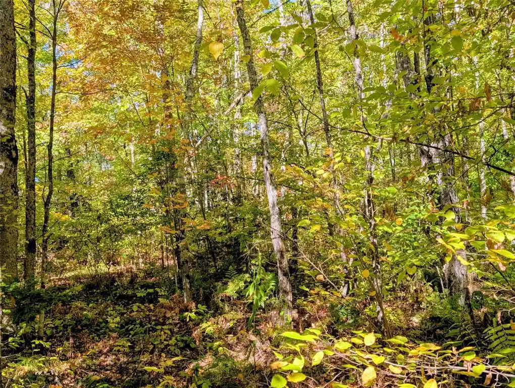 Photo 3 of Land for sale at Tbd County Rd B, Hunter, WI 54843 | MLS# 1605445 | Listing updated on 2026-09-25