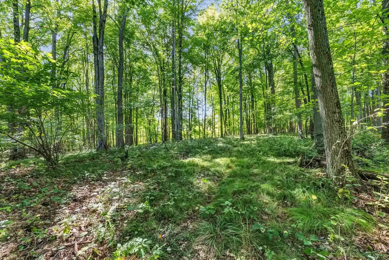 Photo 1 of Land for sale at N West Hl Rd, Iola, WI 54945 | MLS# 50333269 | Listing updated on 2026-09-25
