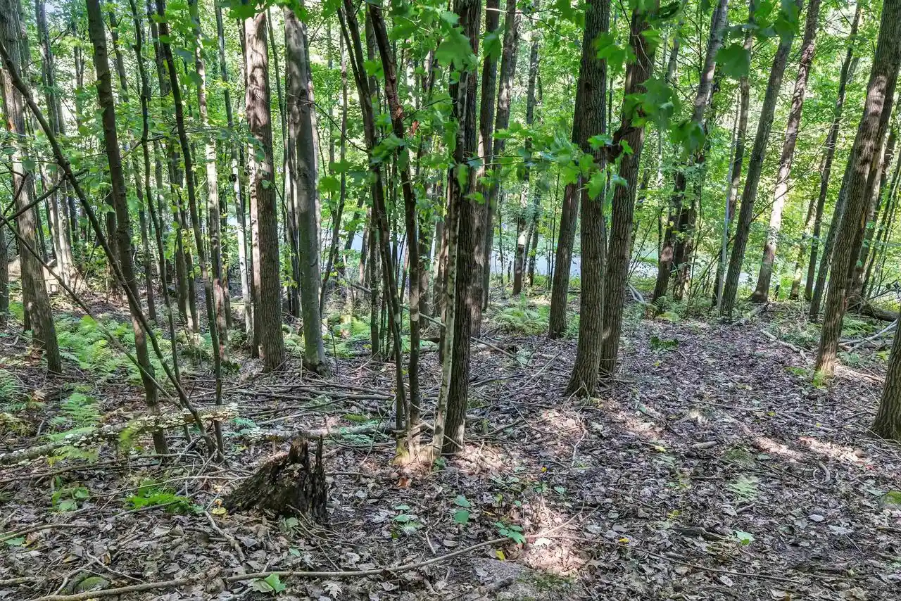 Photo 2 of Land for sale at N West Hl Rd, Iola, WI 54945 | MLS# 50333269 | Listing updated on 2026-09-25