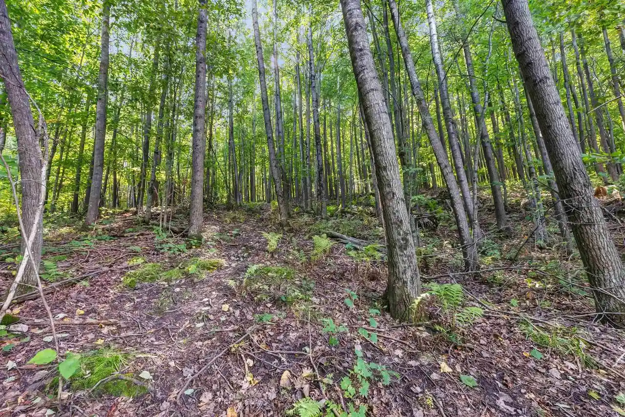Photo 3 of Land for sale at N West Hl Rd, Iola, WI 54945 | MLS# 50333269 | Listing updated on 2026-09-25