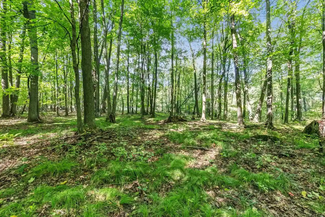 Photo 4 of Land for sale at N West Hl Rd, Iola, WI 54945 | MLS# 50333269 | Listing updated on 2026-09-25